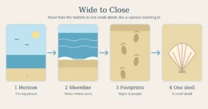 Four panel graphic moving from a wide beach view to a close shell