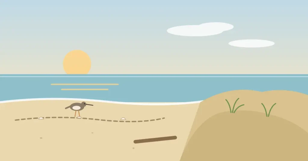 Quiet morning beach with a sandpiper near the water and dunes behind